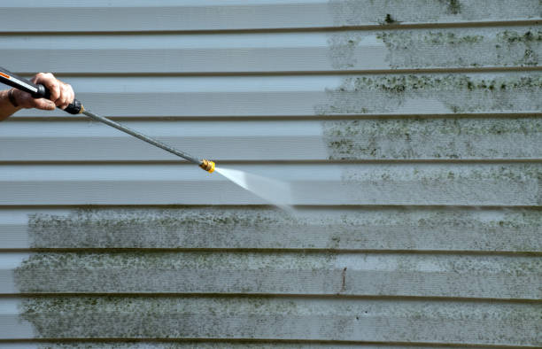 Best Concrete Surface Cleaning in Lawton, IA